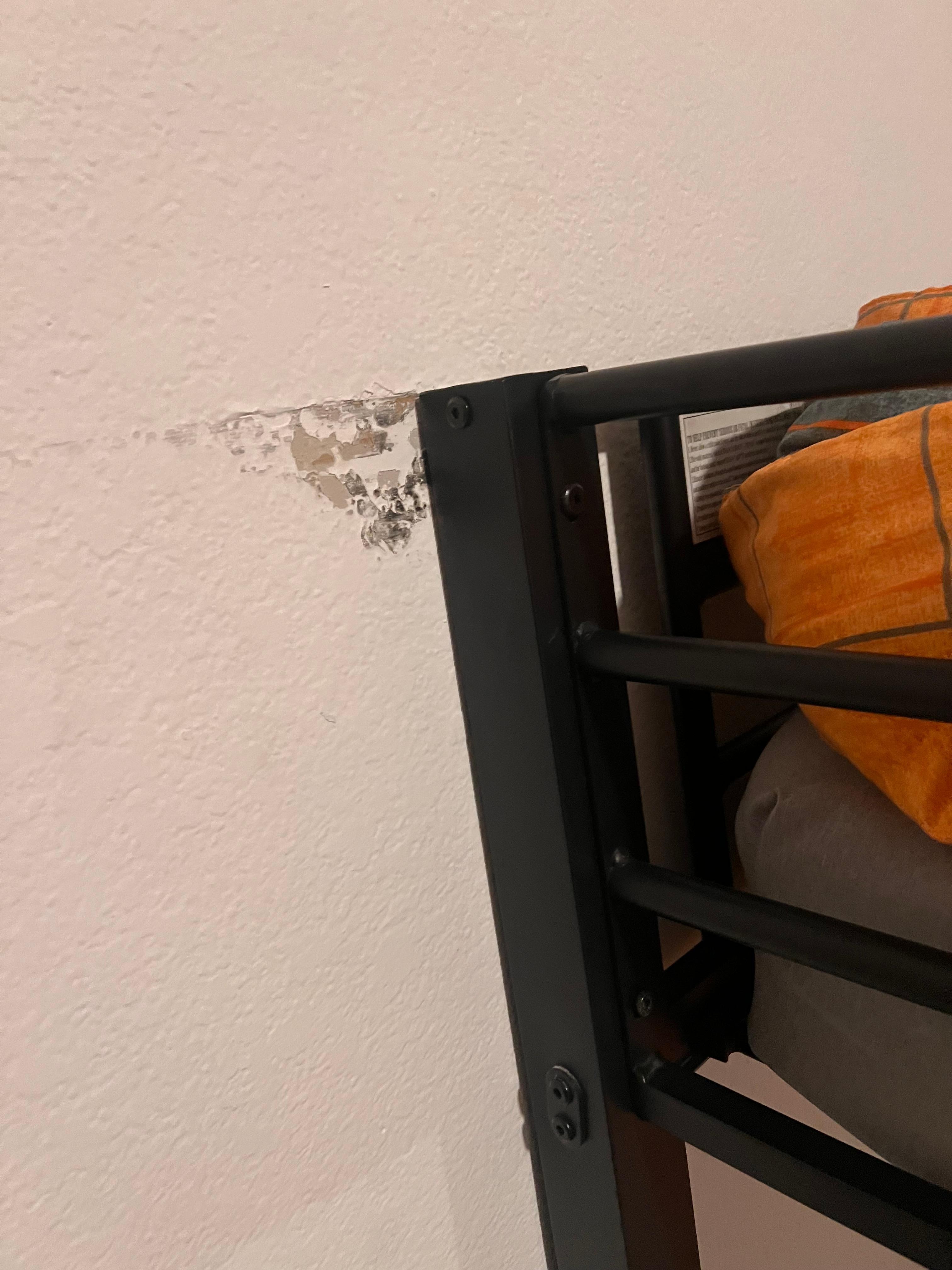 Damaged walls throughout home