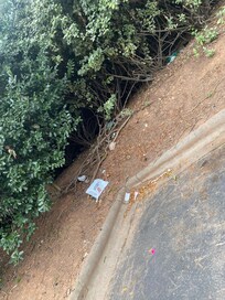 This is just the trash that was by my vehicle. It was everywhere!
