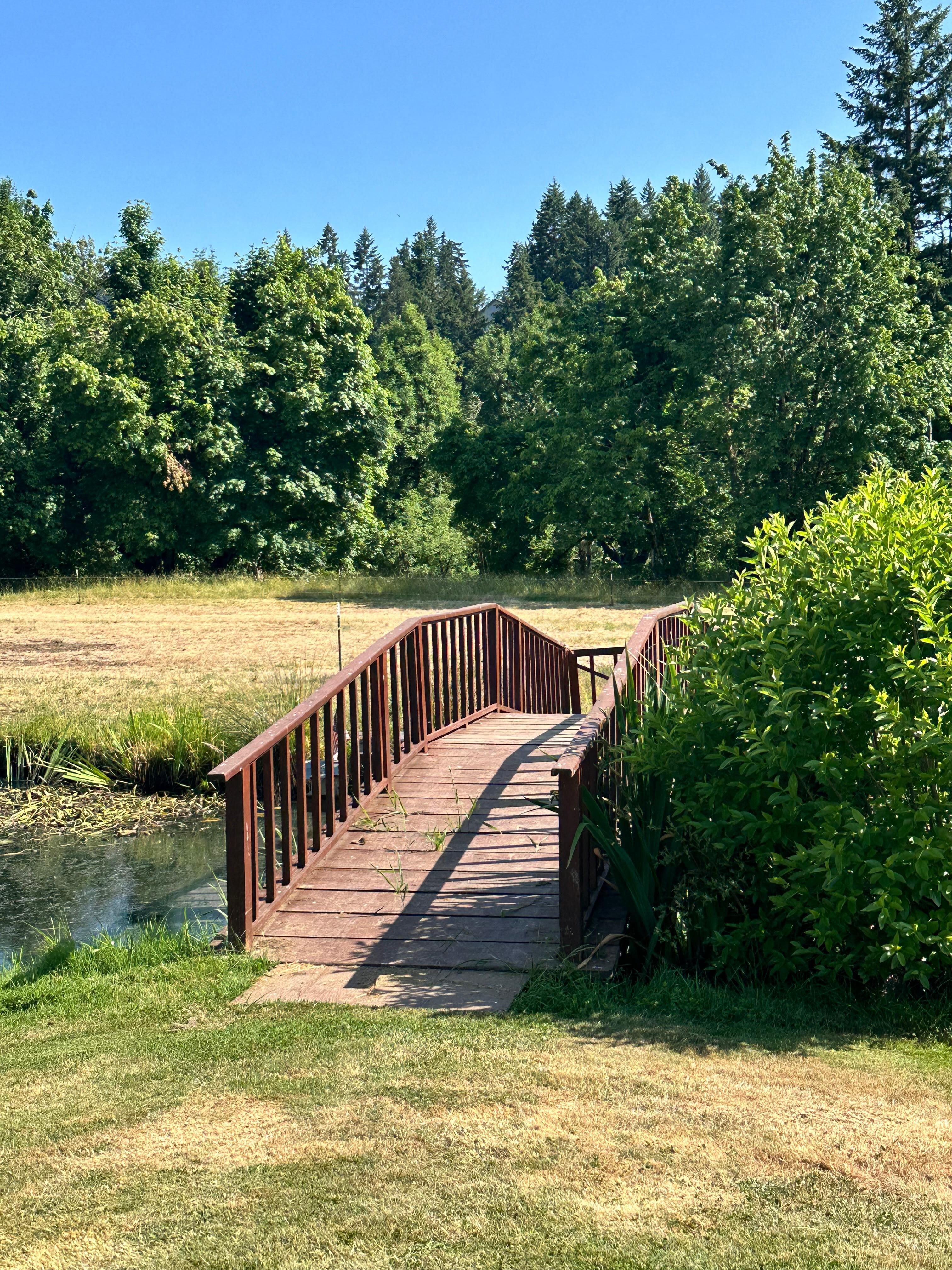 Walking to the river 