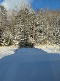Lovely forested backyard