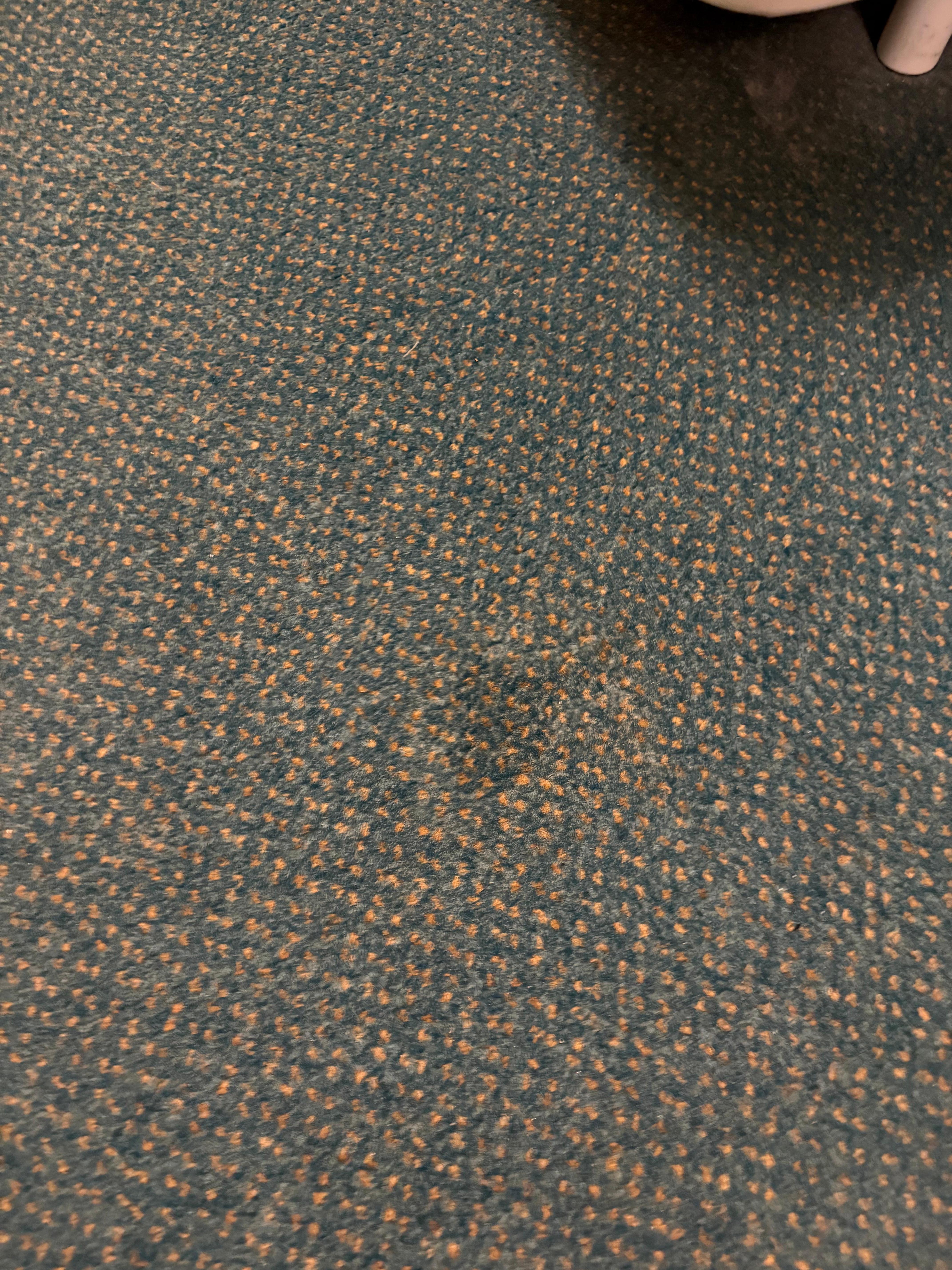 Stained carpet needs replacing 