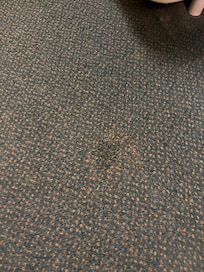 Stained carpet needs replacing