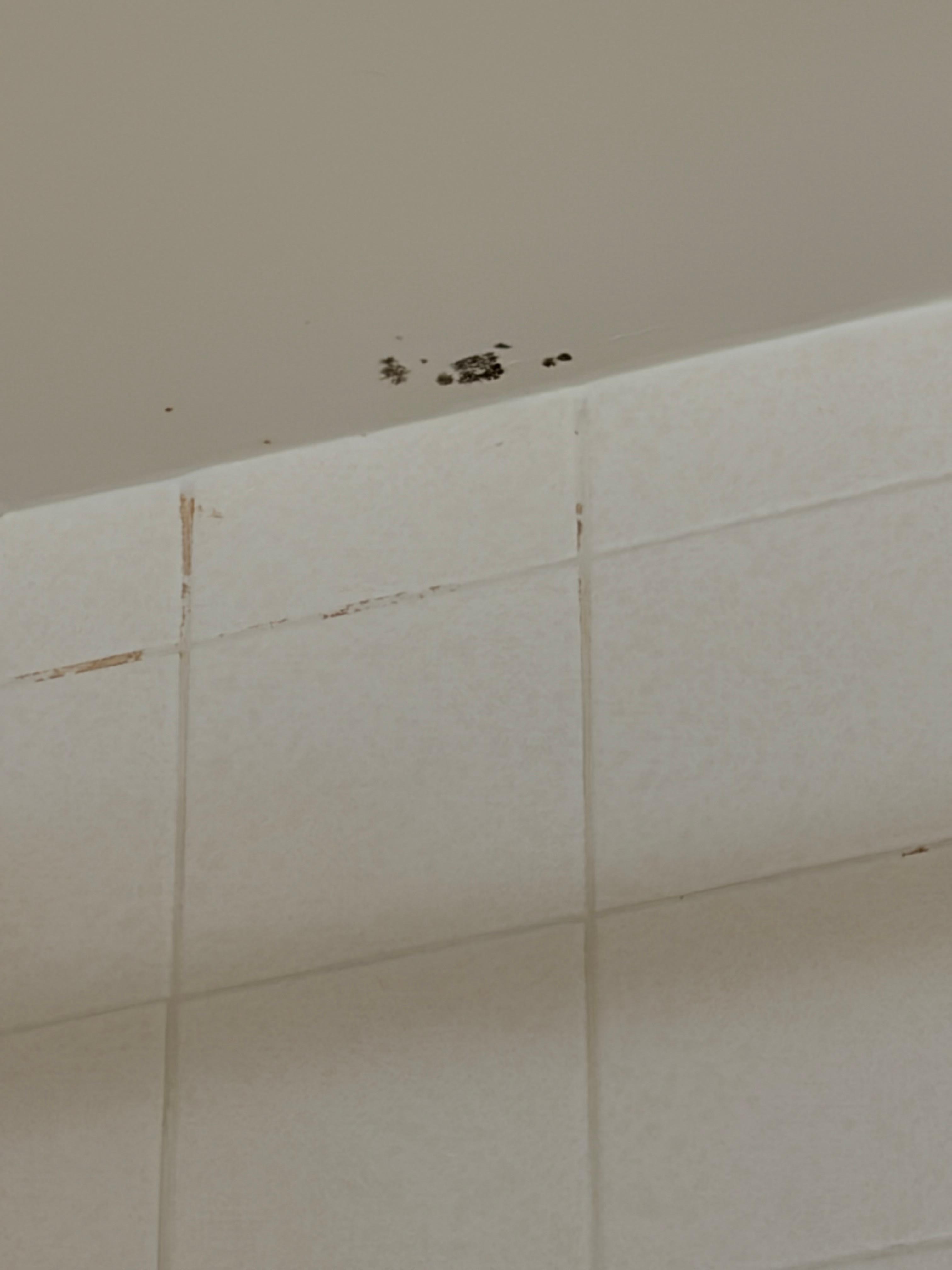 Mold in bathroom