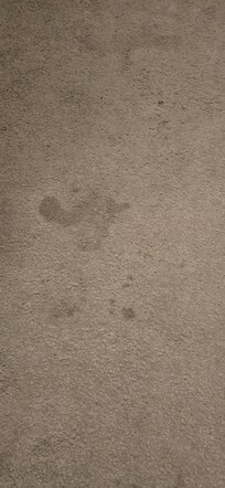 Tapis salon où un autre tapis déposé par dessus pour cacher taches