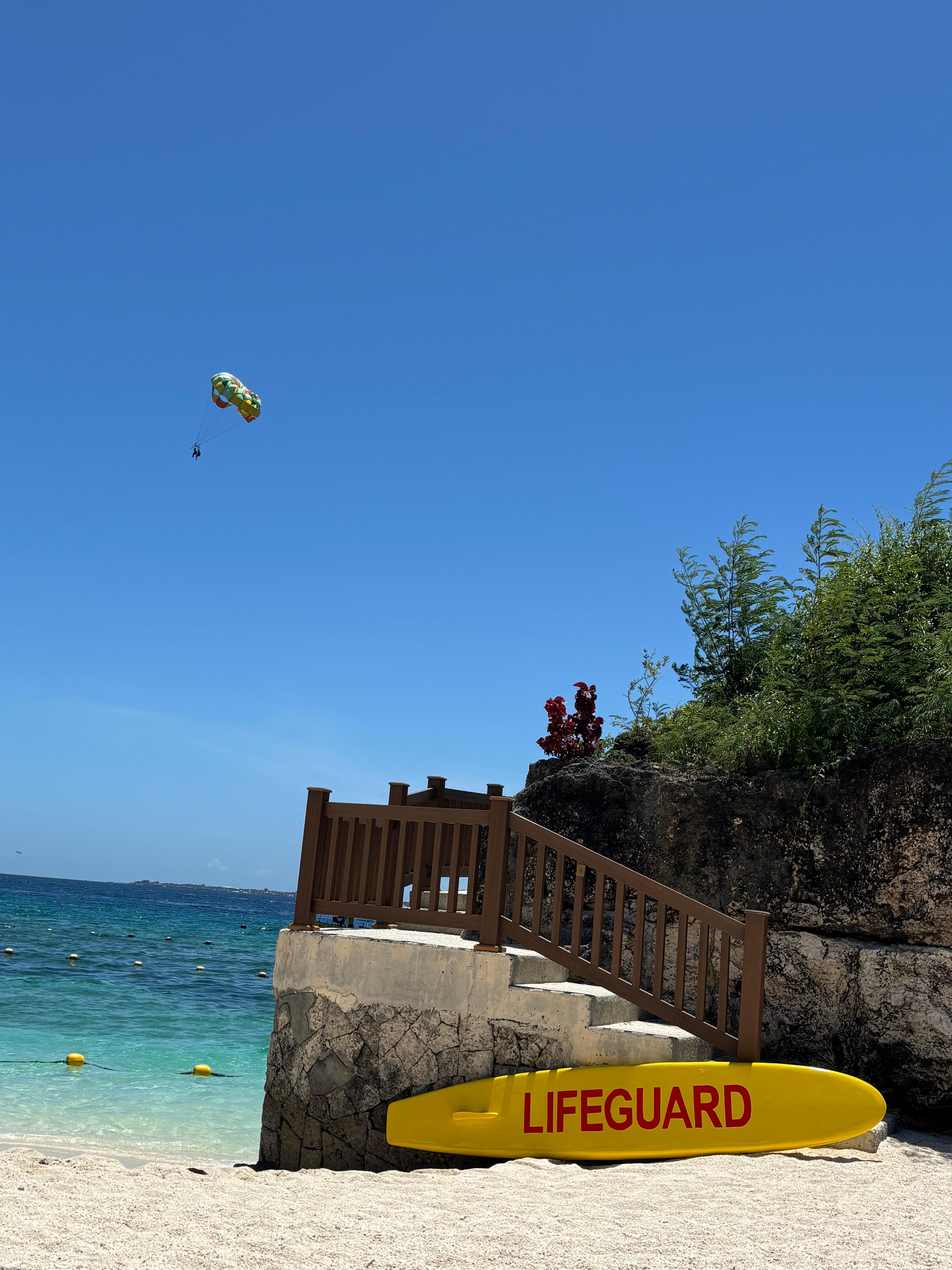 アクティビティ