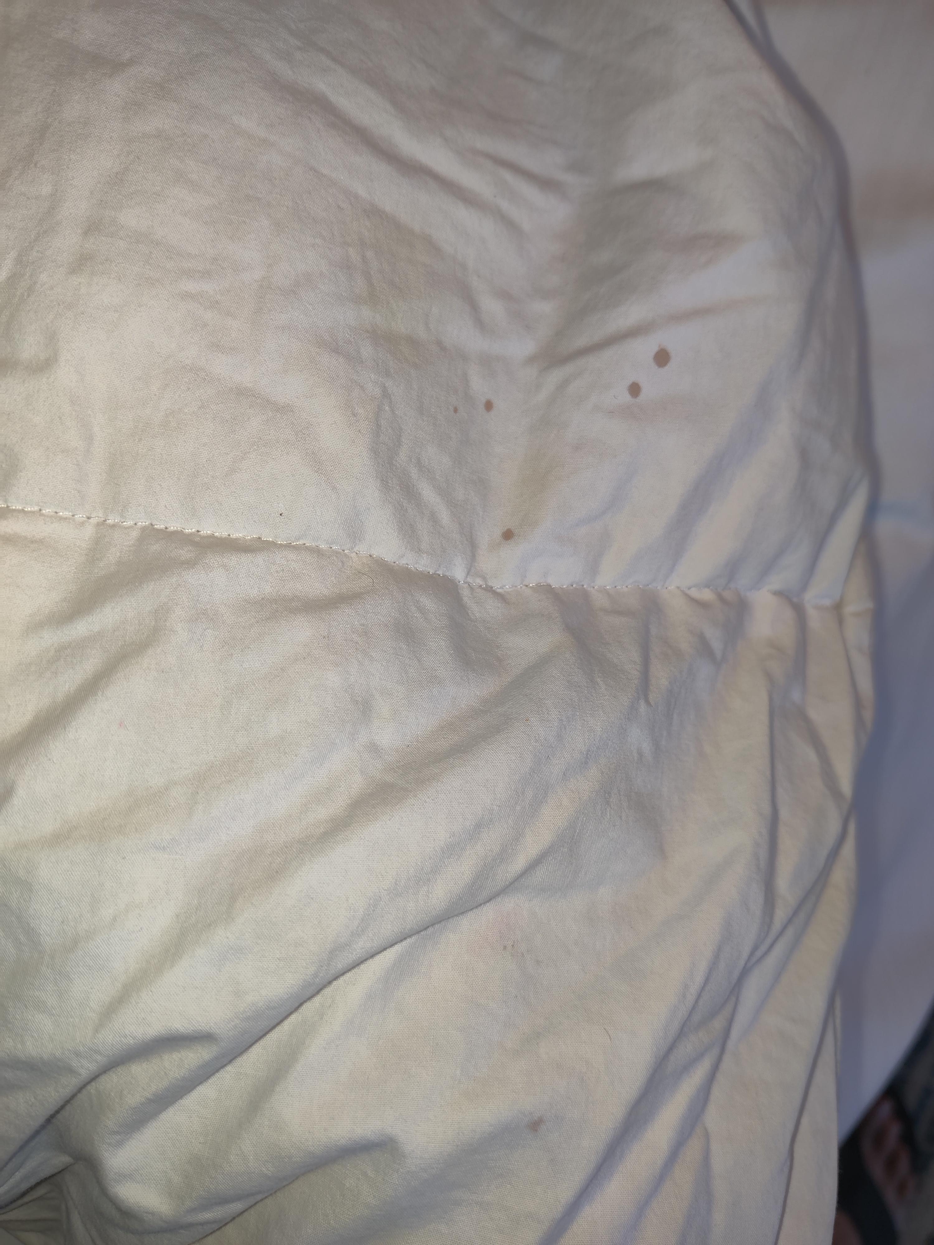 Blood stains on blanket