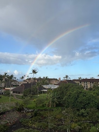 Lanai view