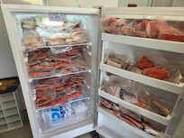Halibut, Sockeye, and Cohoe - two week catch by 7 people