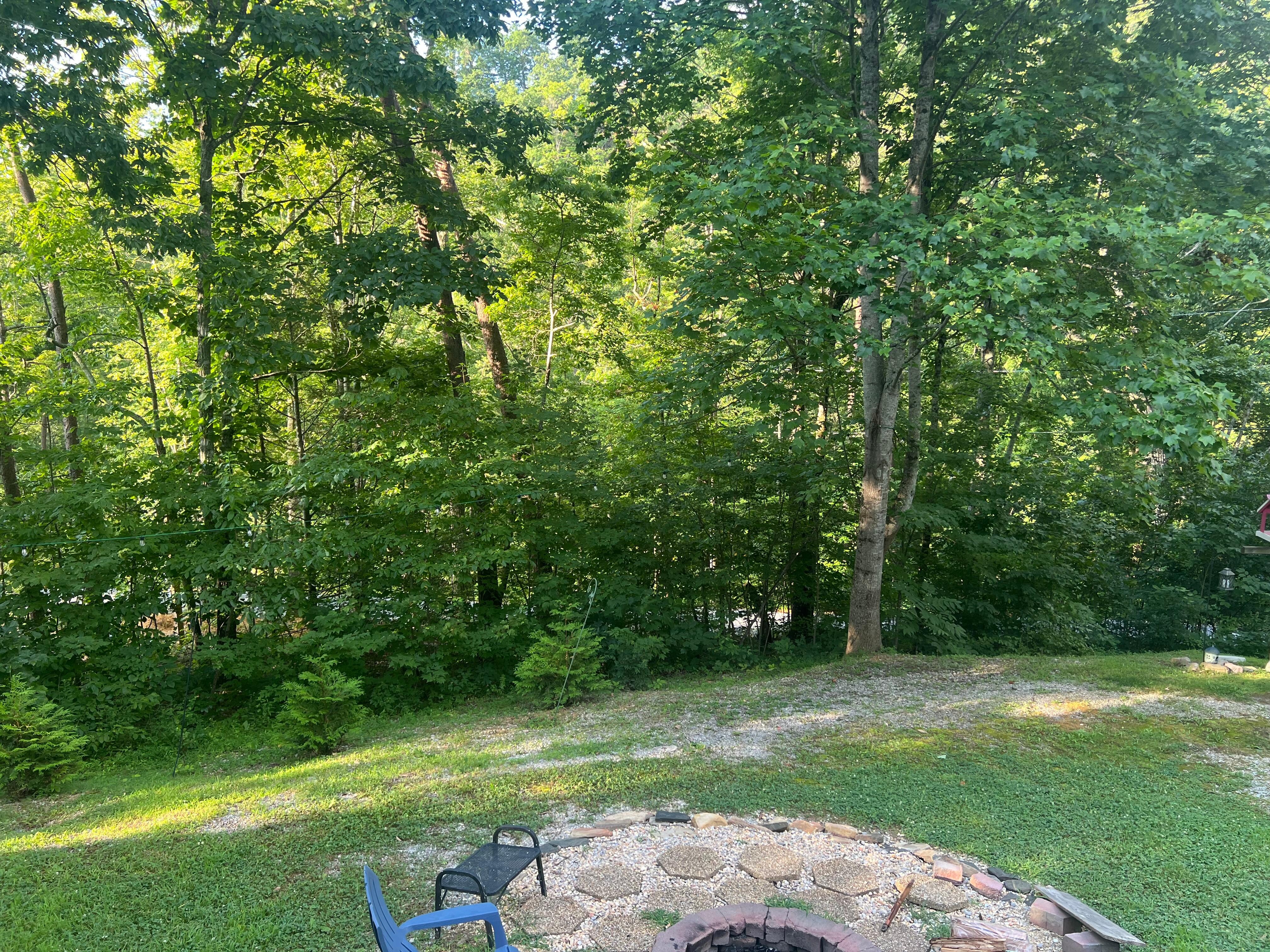 View from porch
