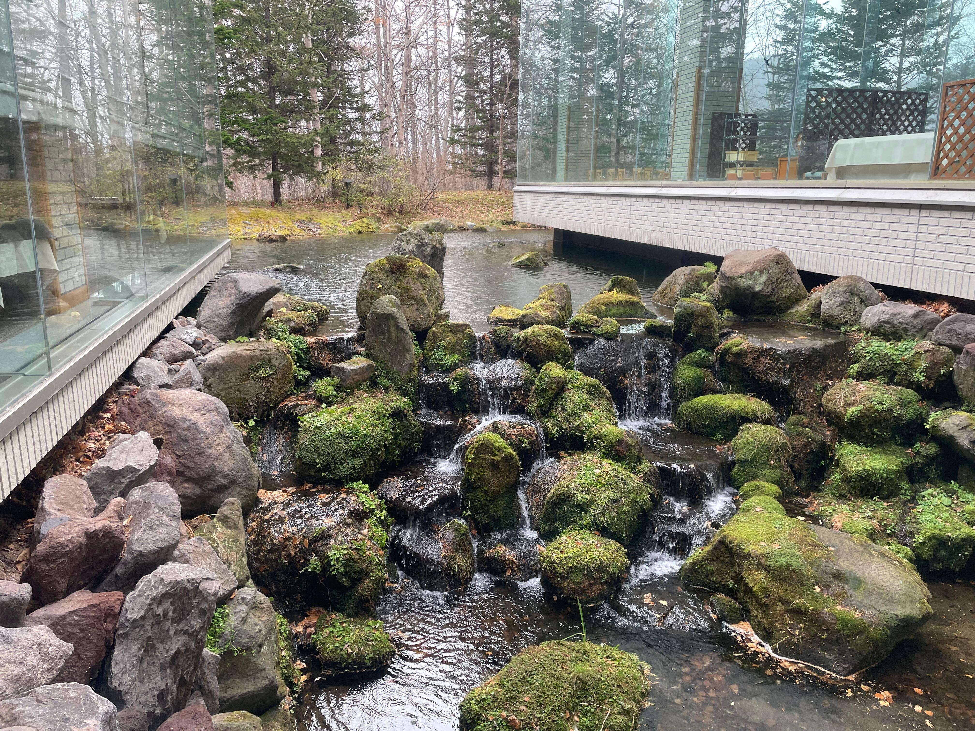 ロビーから見える中庭