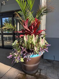 Outside entry planter