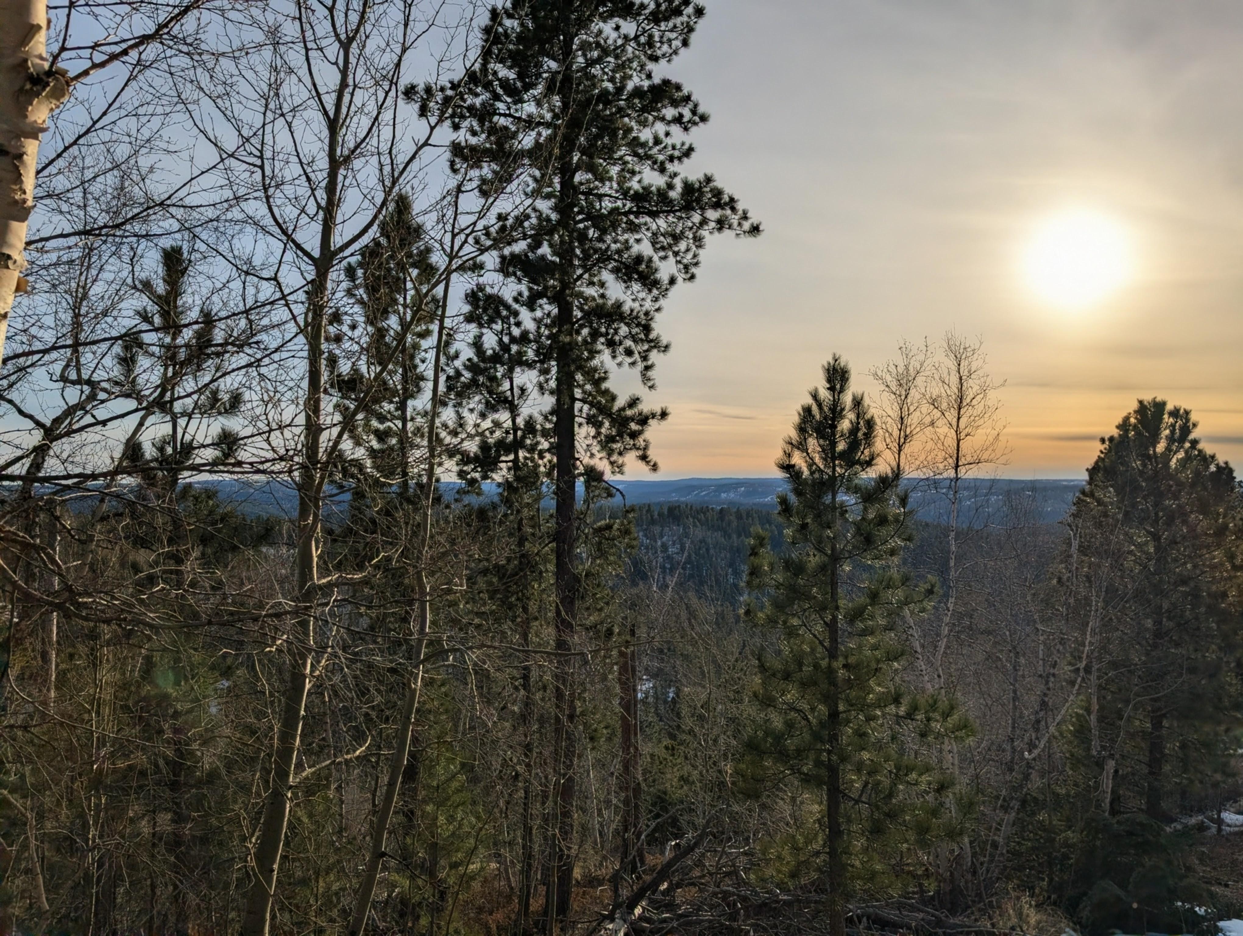 View from the balcony. 