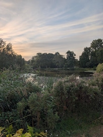 Park across the street. Vondelpark