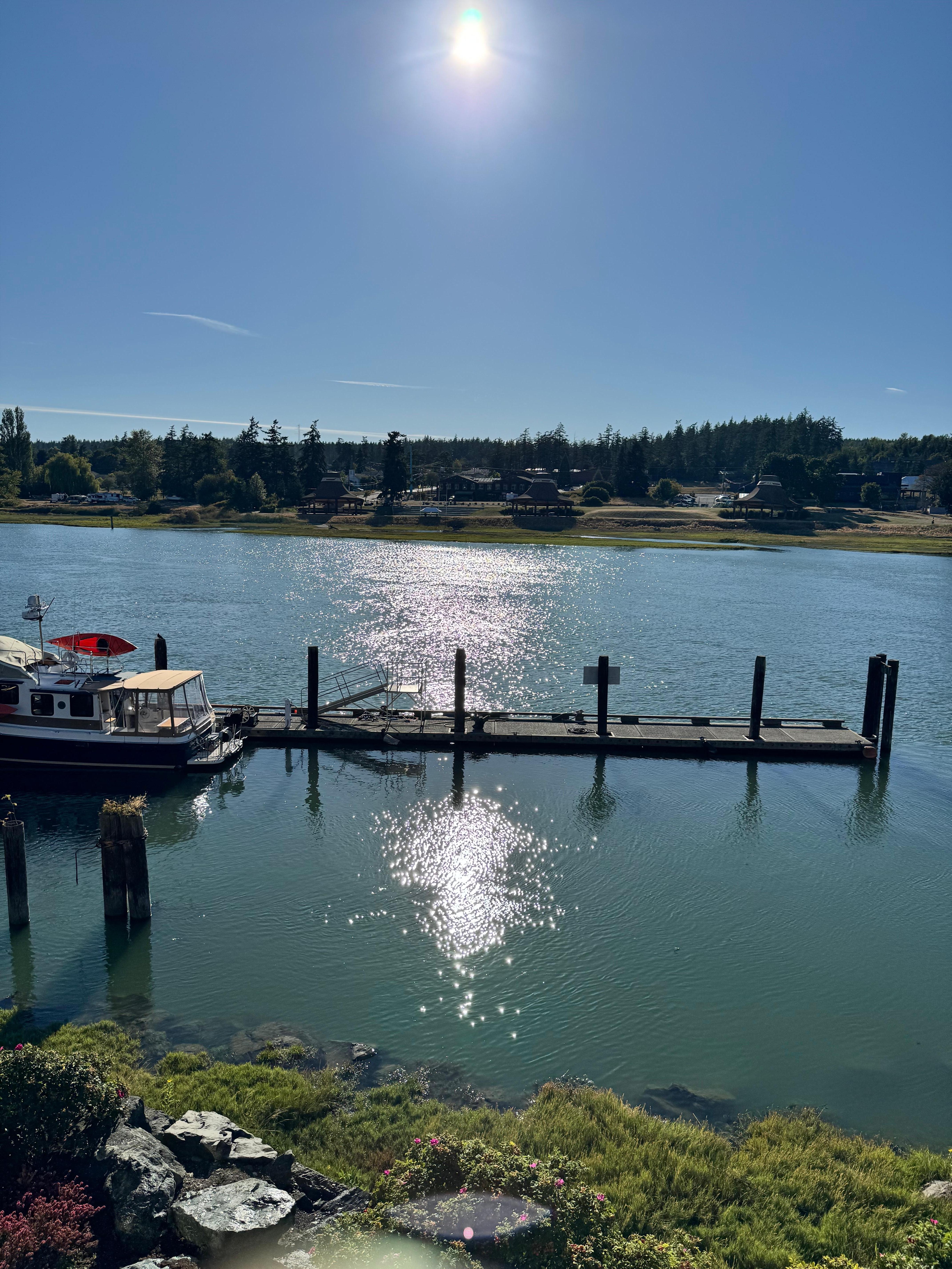 A view from the room 