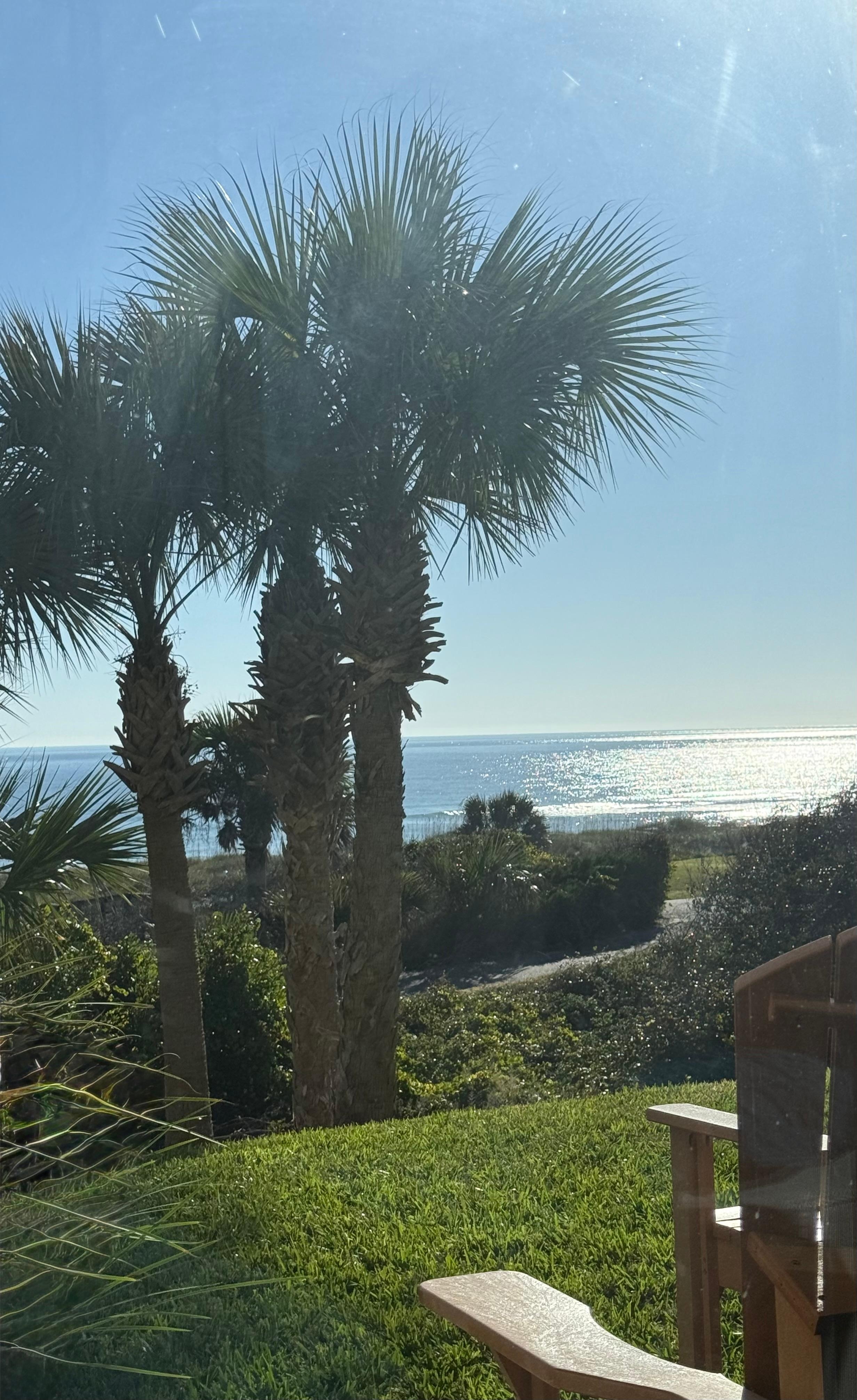 View from just outside the sliders.