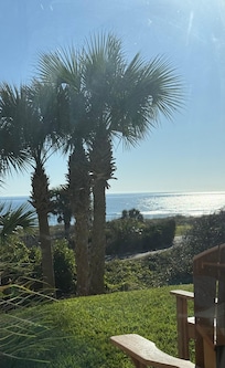 View from just outside the sliders.