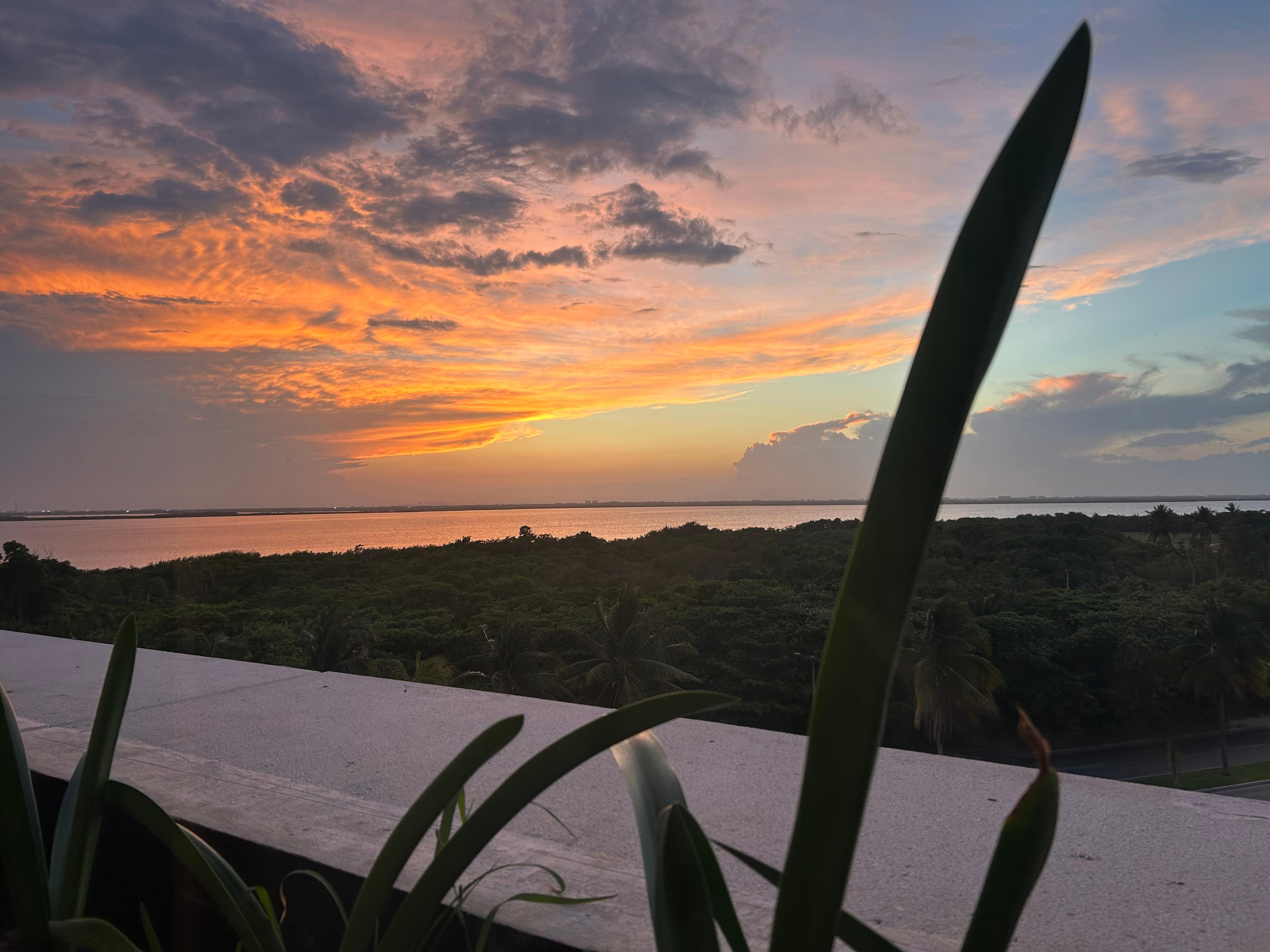 From window at Teppanyaki table
