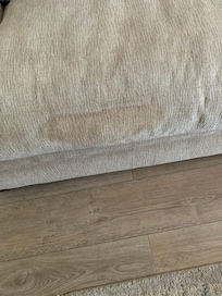 Stain on couch cushion