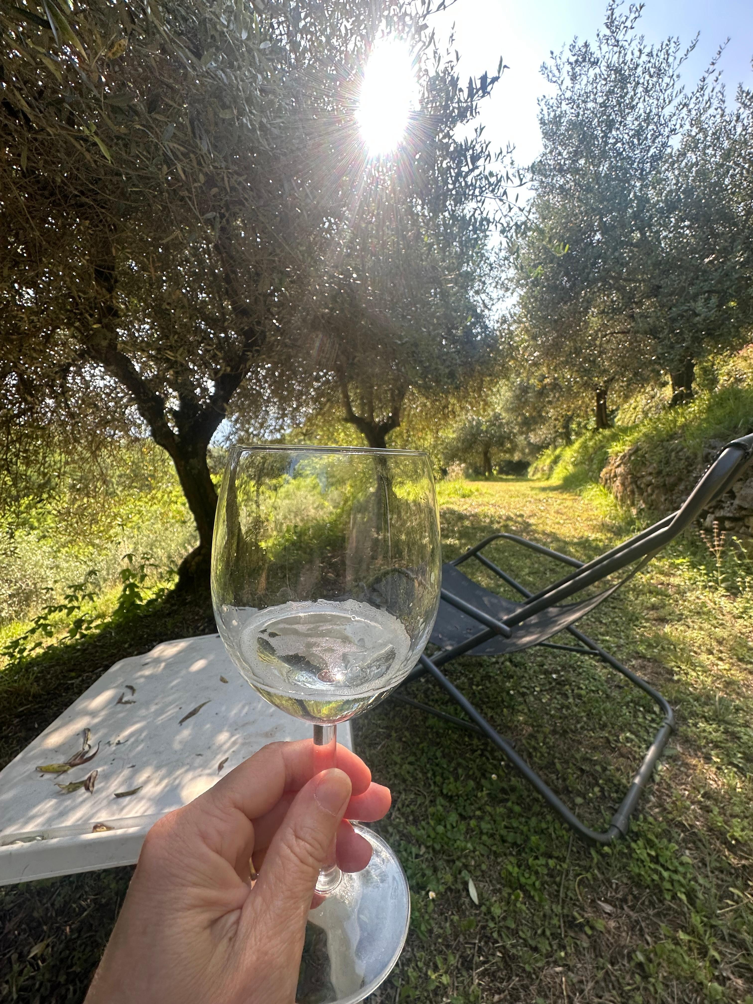 In the shade of the olive trees