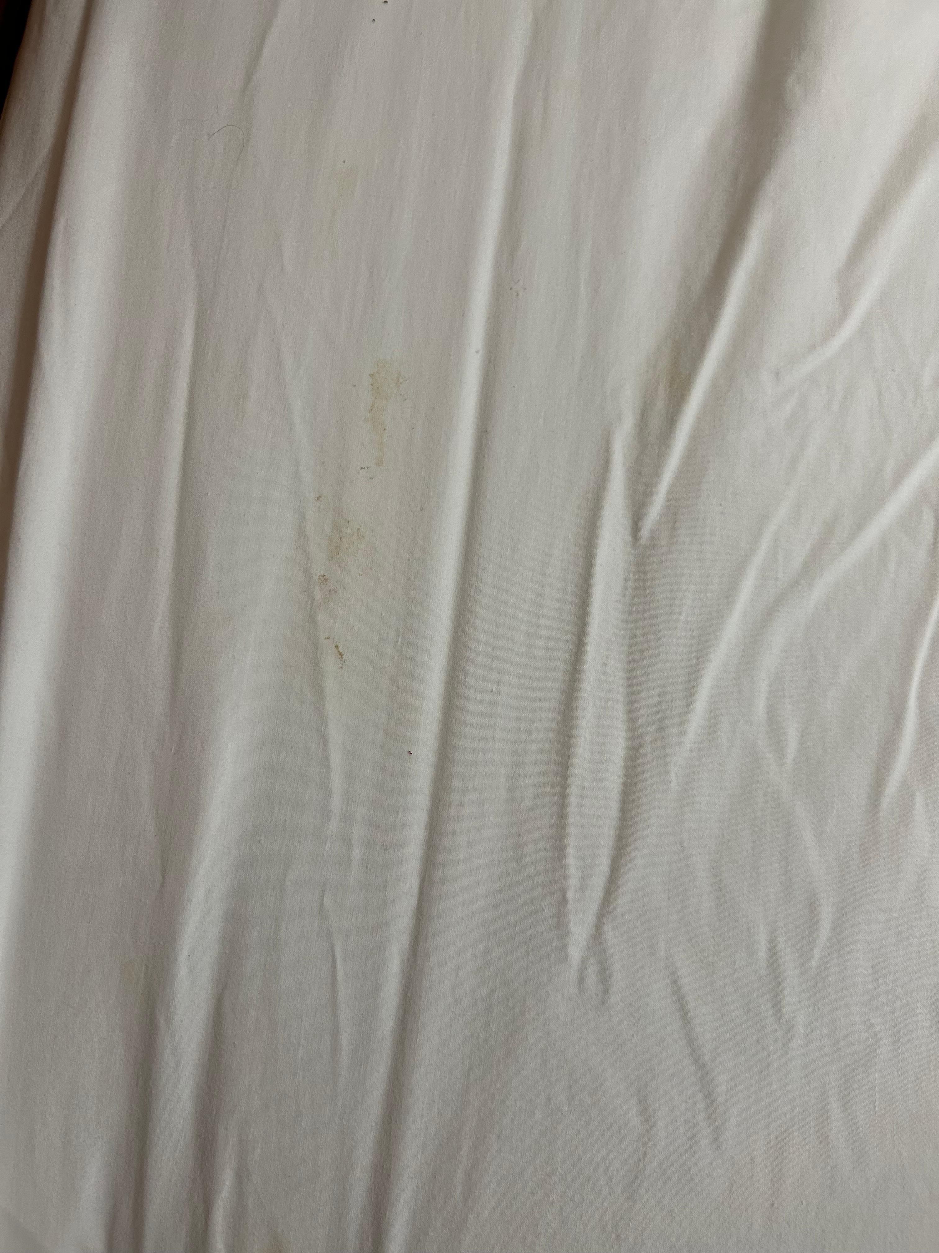 More organic debris/ stains on master bed 
