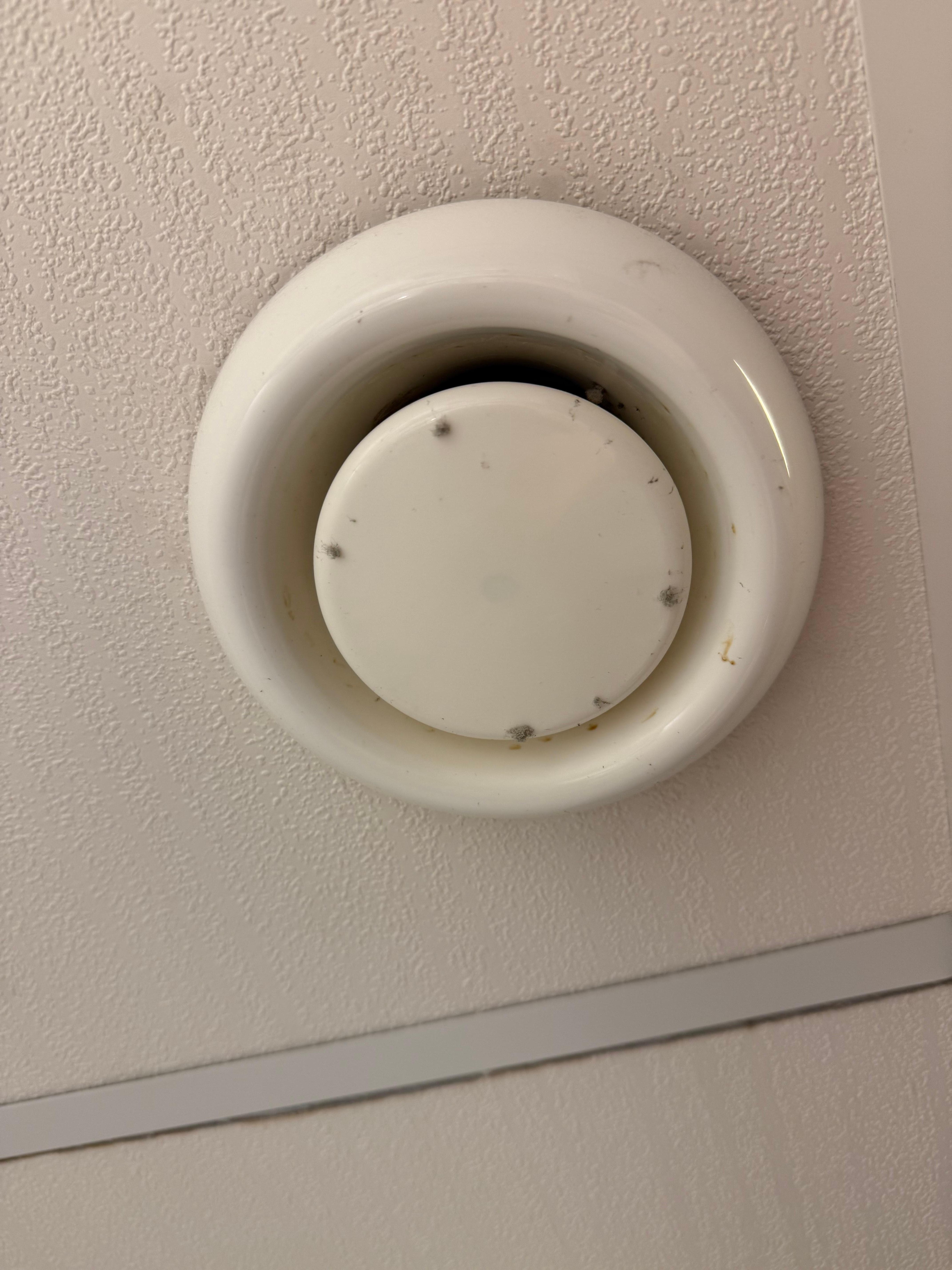 Dirty bathroom fan