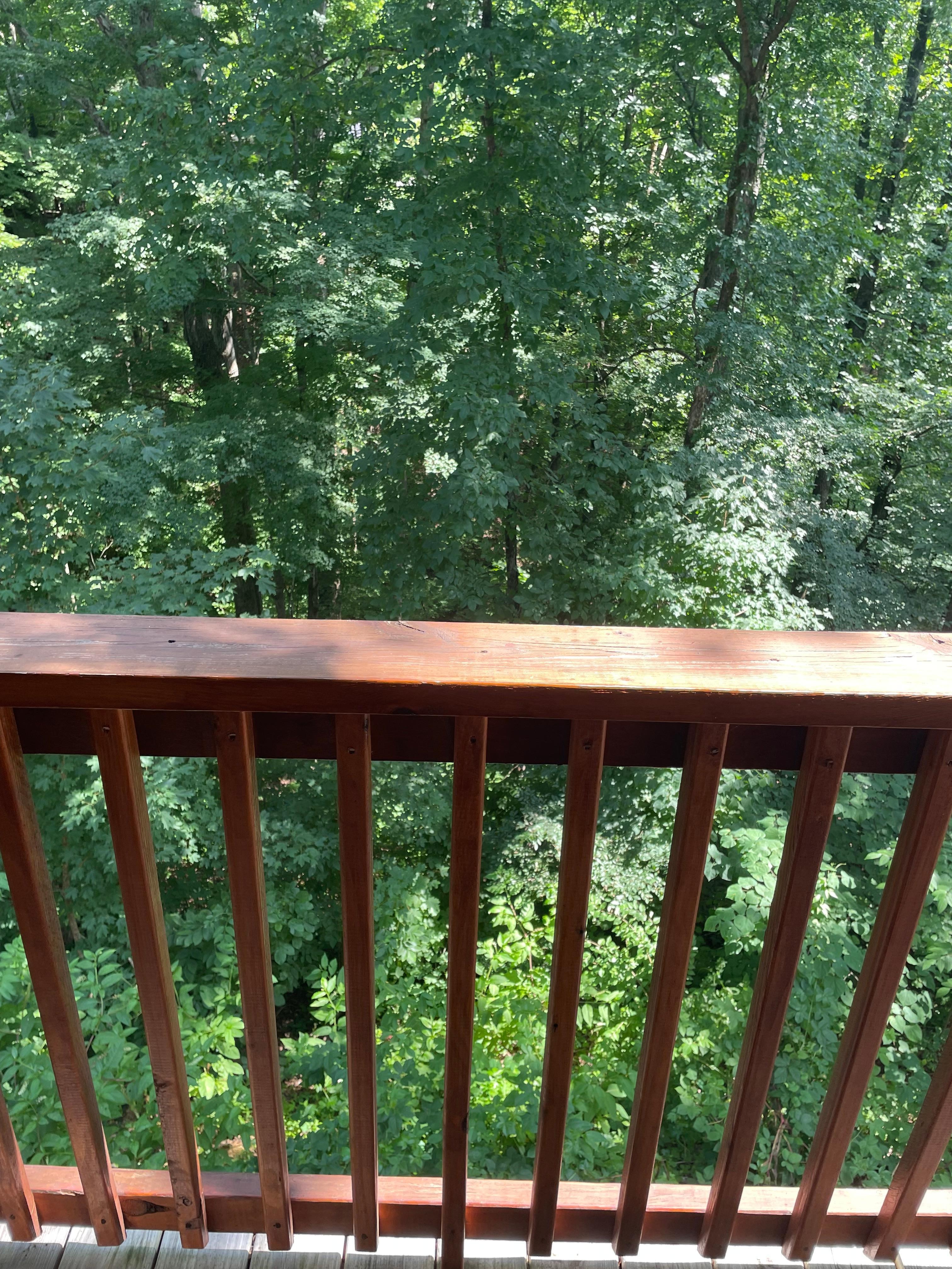 Back deck view. 