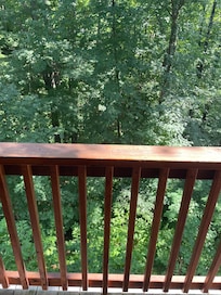 Back deck view.