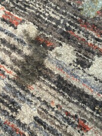 Stained carpet