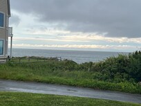 View from the back porch.