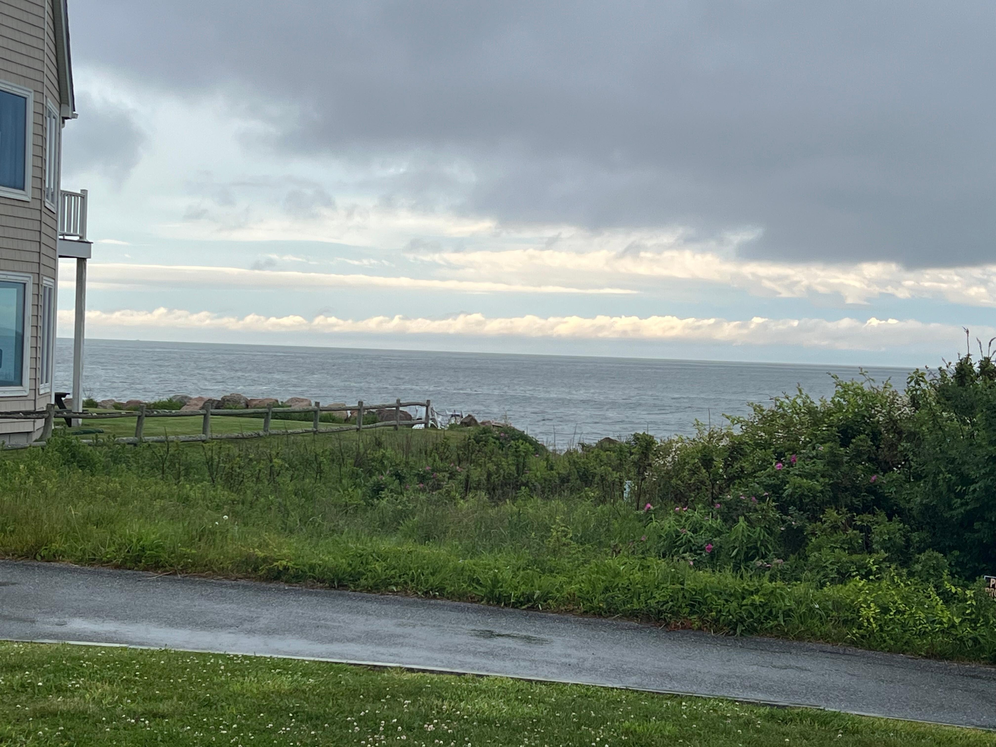 View from the back porch.