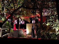 Utsikten fra bungalow