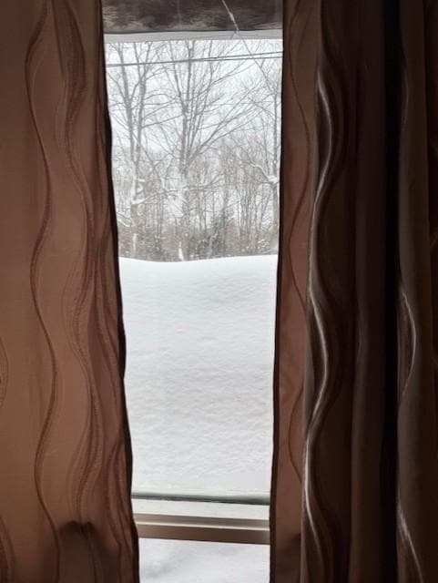 View from the table in the morning.