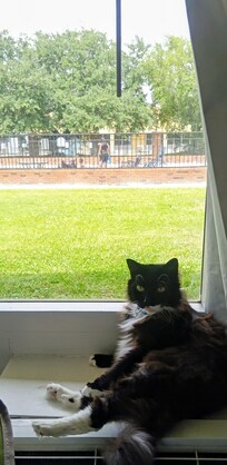 It's our second time staying here and we enjoyed it again definitely a pet friendly hotel!