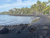 Punalu’u beach-a short walk away