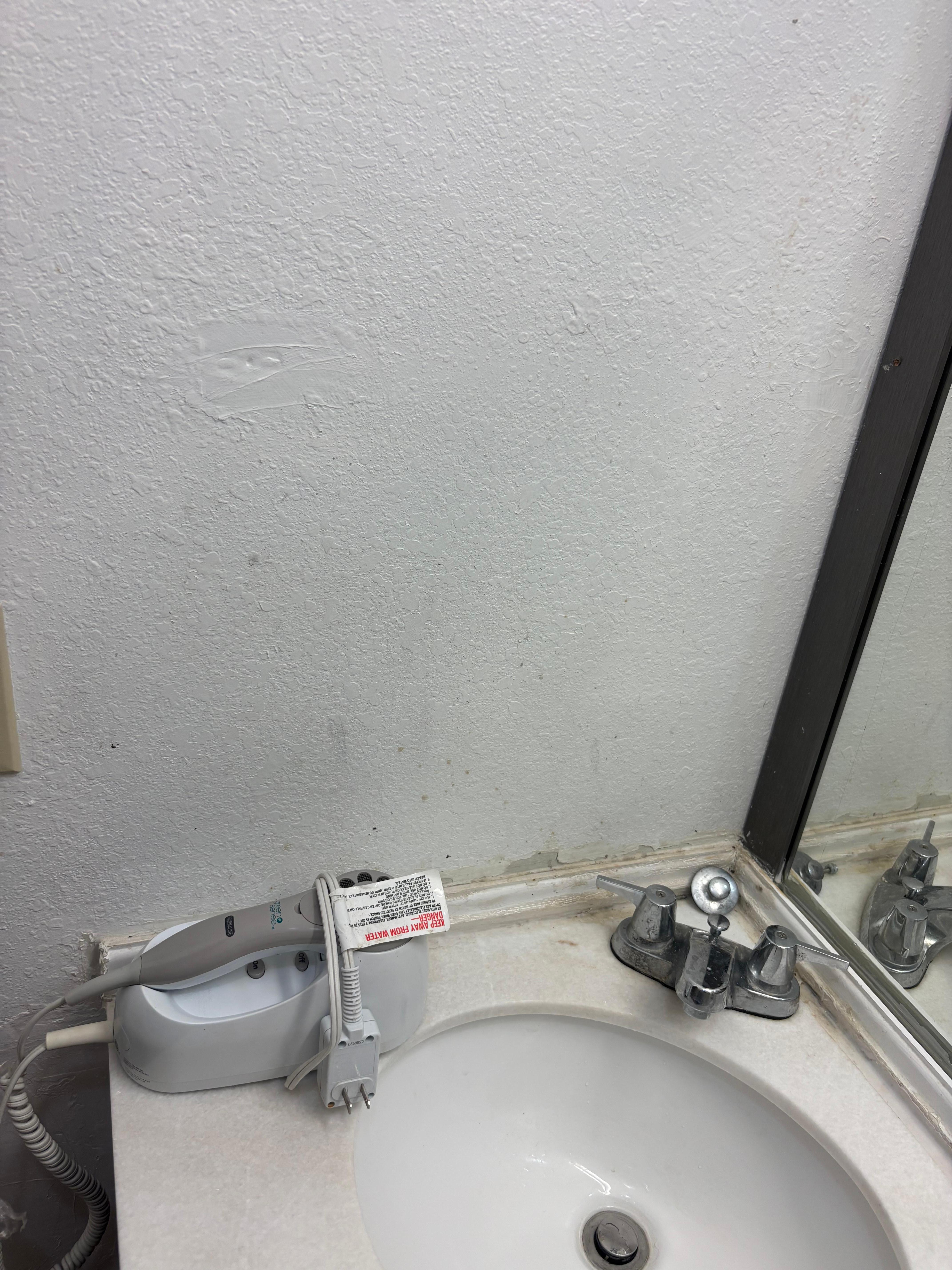 The mold or whatever on the counter to the bathroom