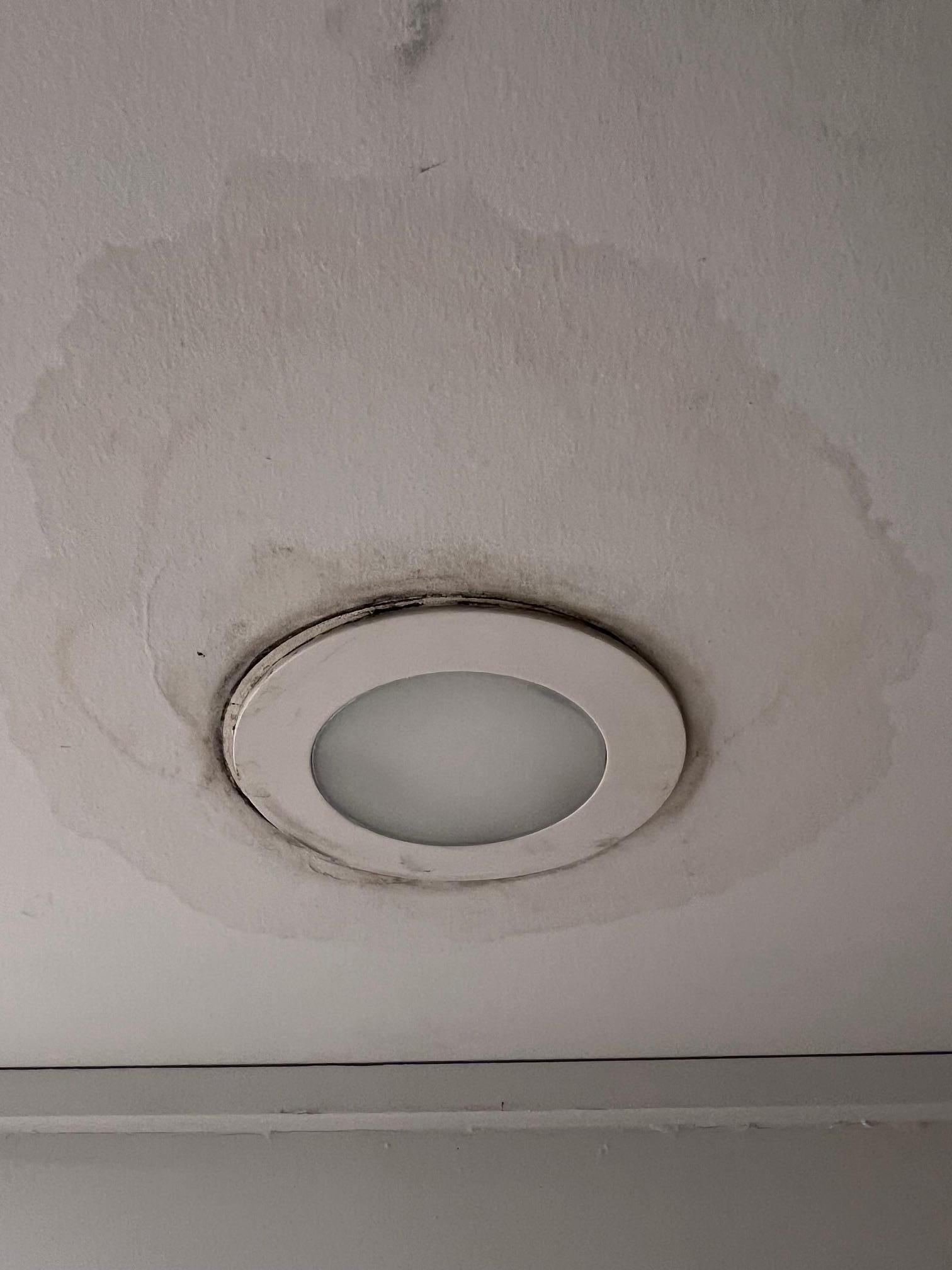 Water damage/mold/mildew in bathroom