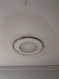 Water damage/mold/mildew in bathroom