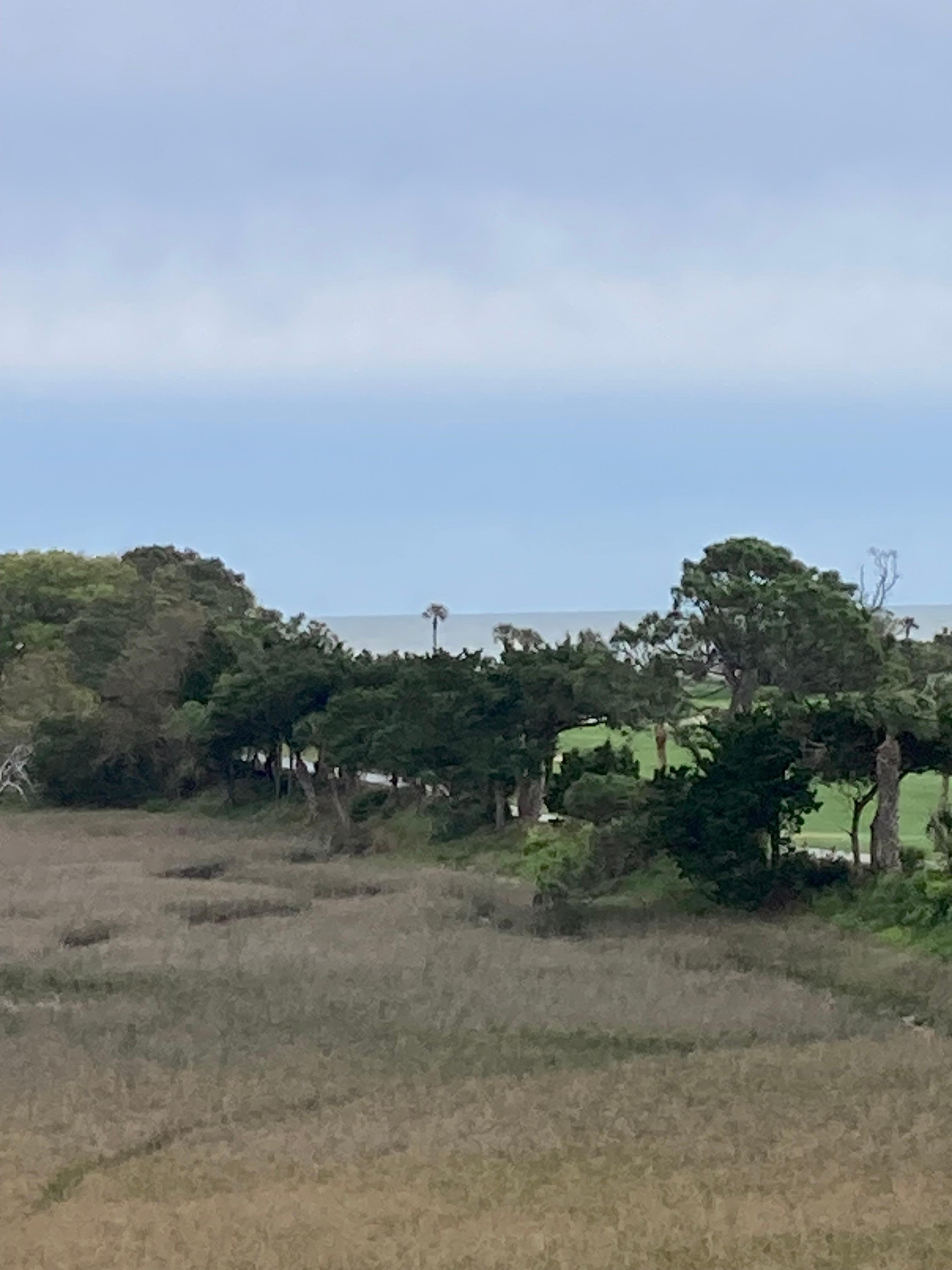 Gorgeous view from the balcony