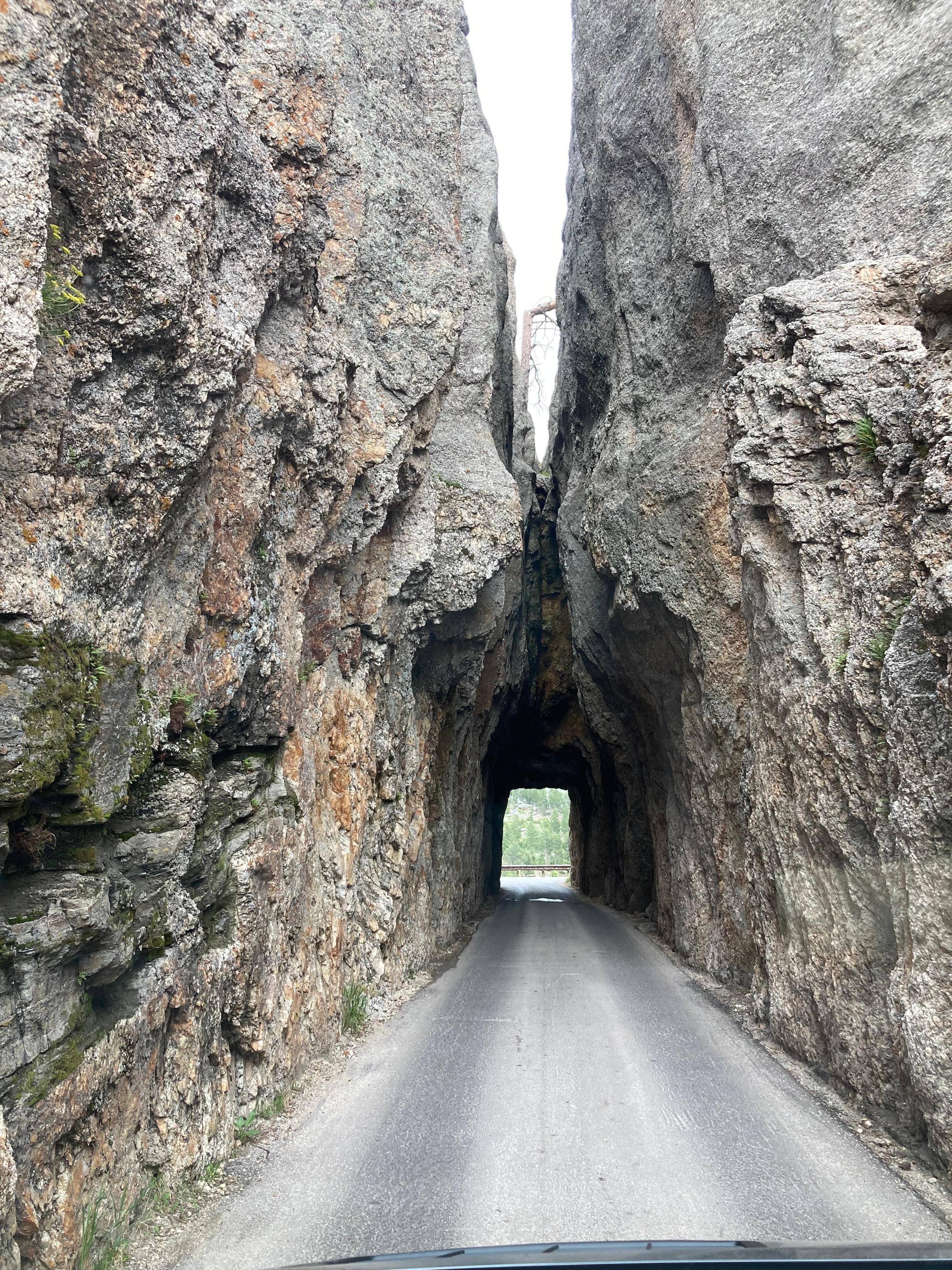 One of the tunnels on our drive on the Needles Highway through Custer State Park.