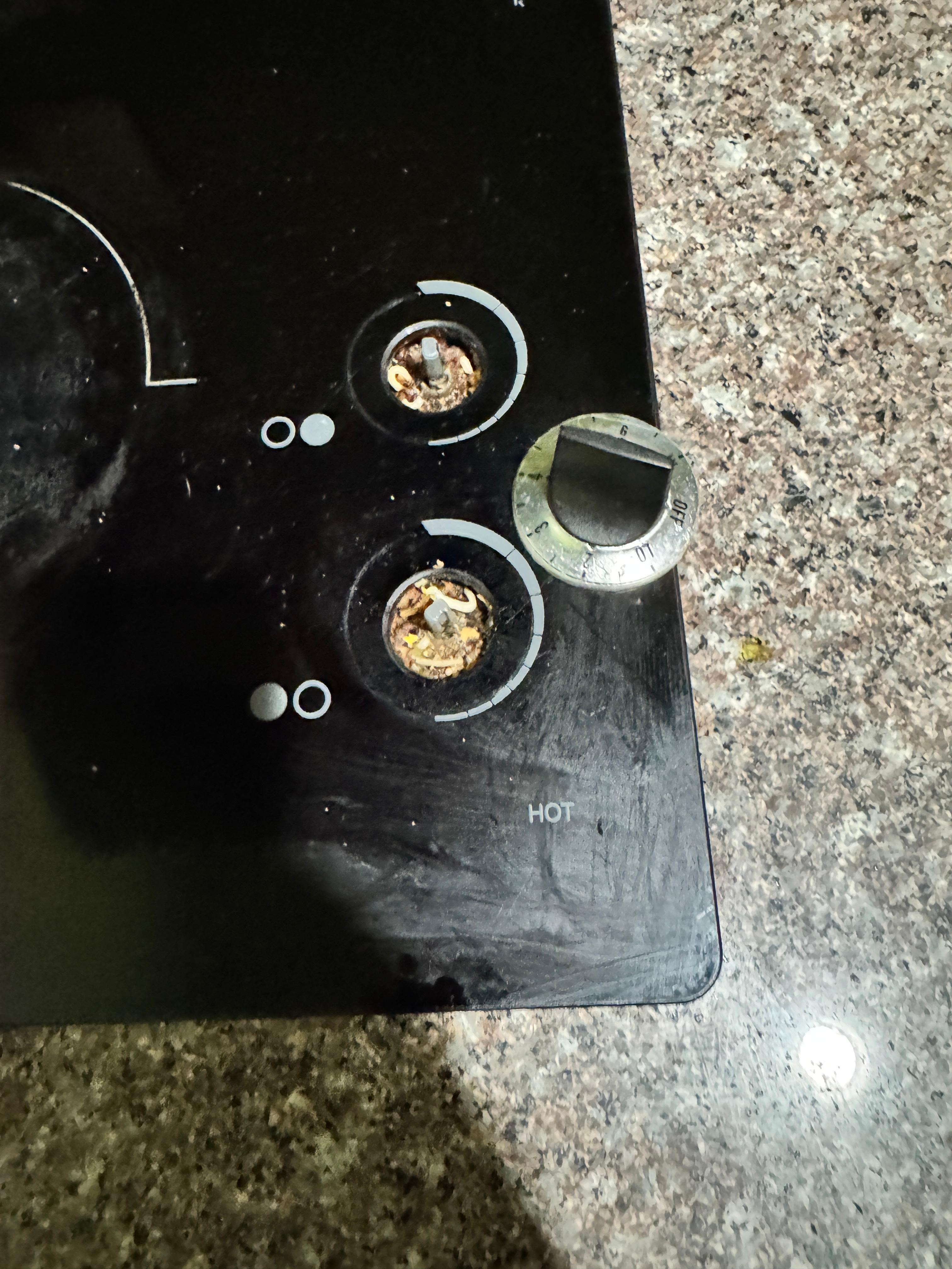 That popped off putting stuff on the counter. Look how much food is in there.