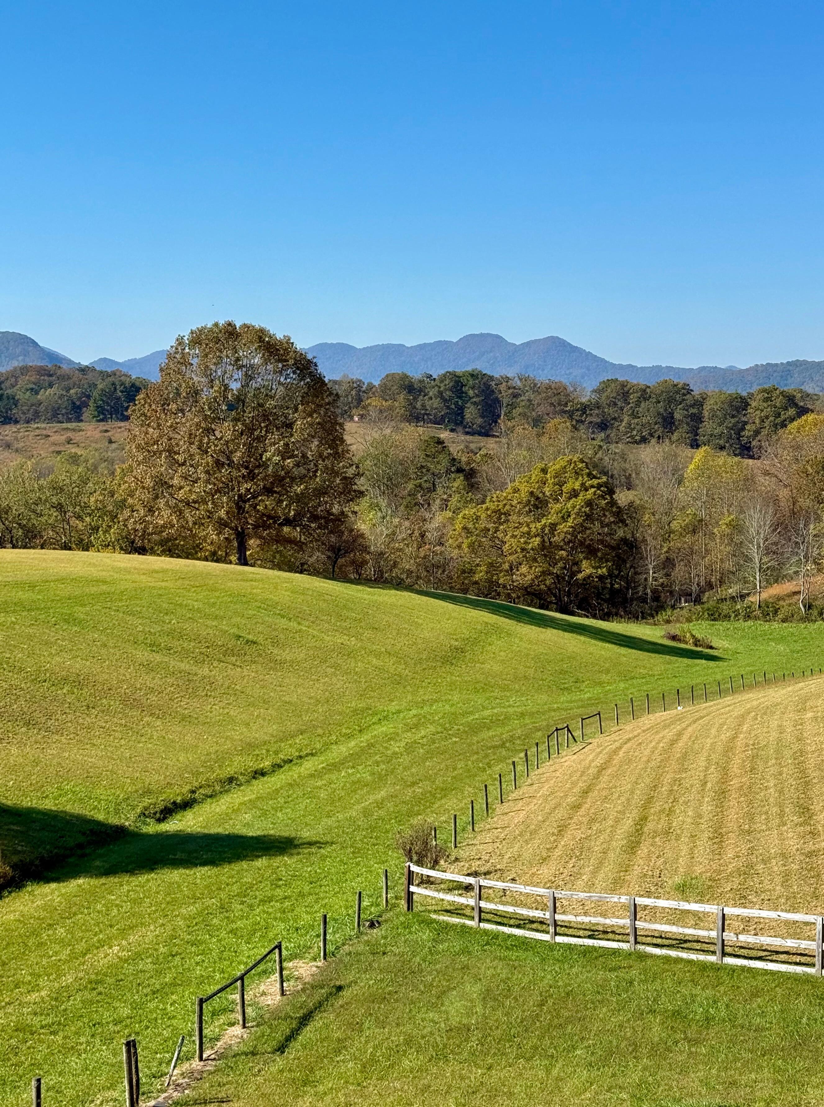 View from front porch (zoom lens)