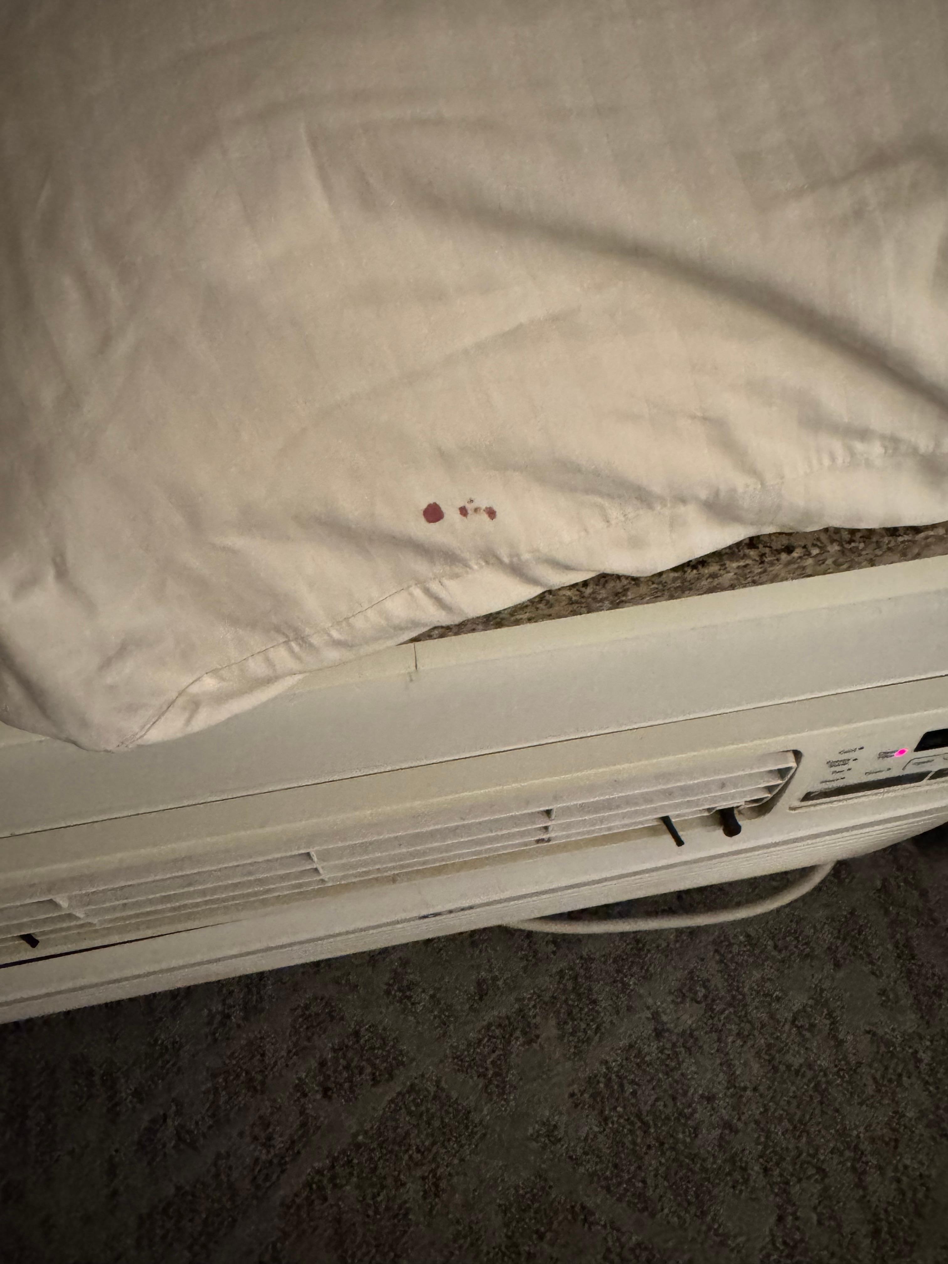 Blood on pillow never washed or noticed