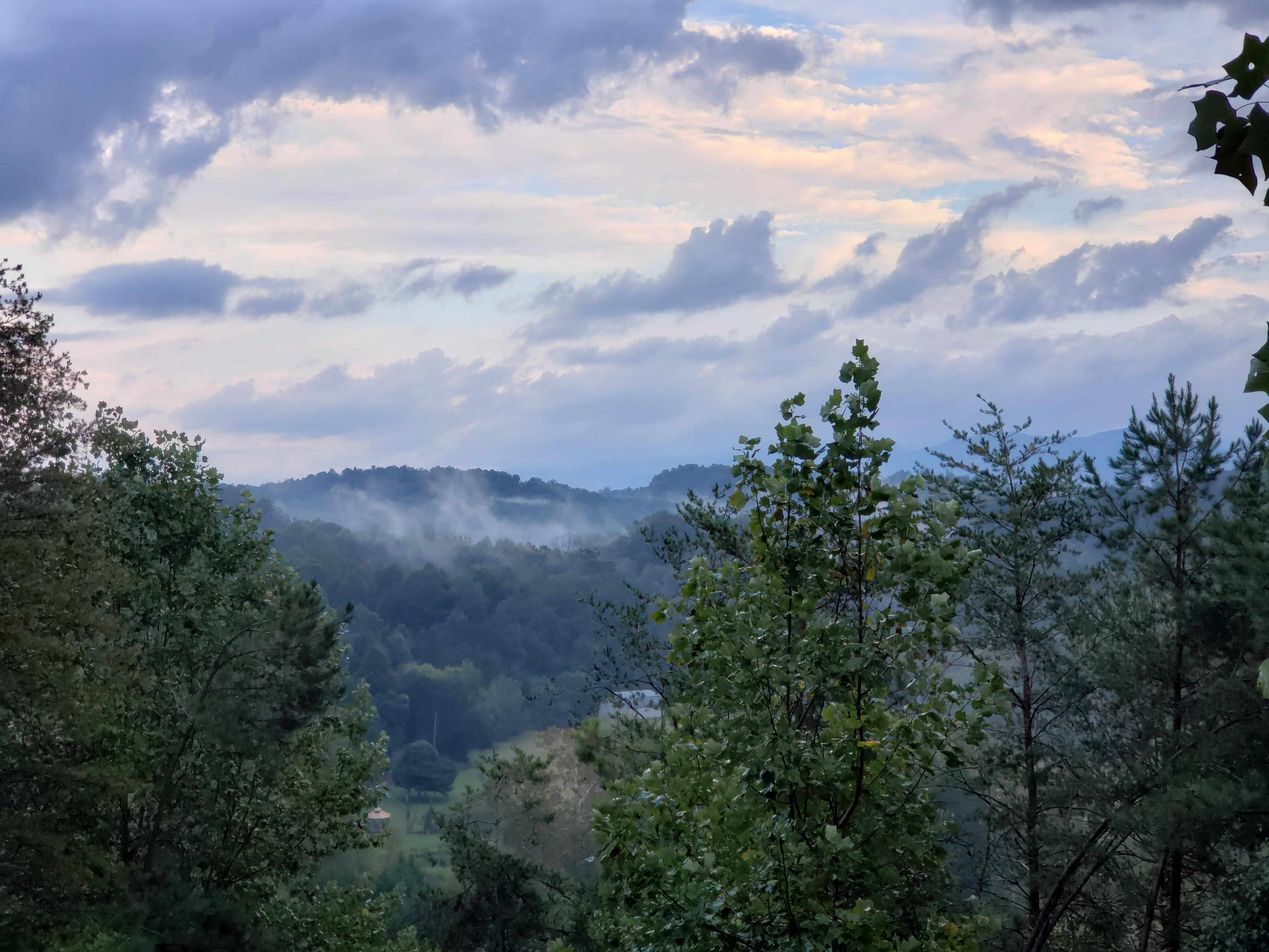 View from the back deck.