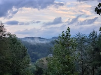View from the back deck.