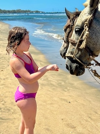 Horses for rent right outside the door