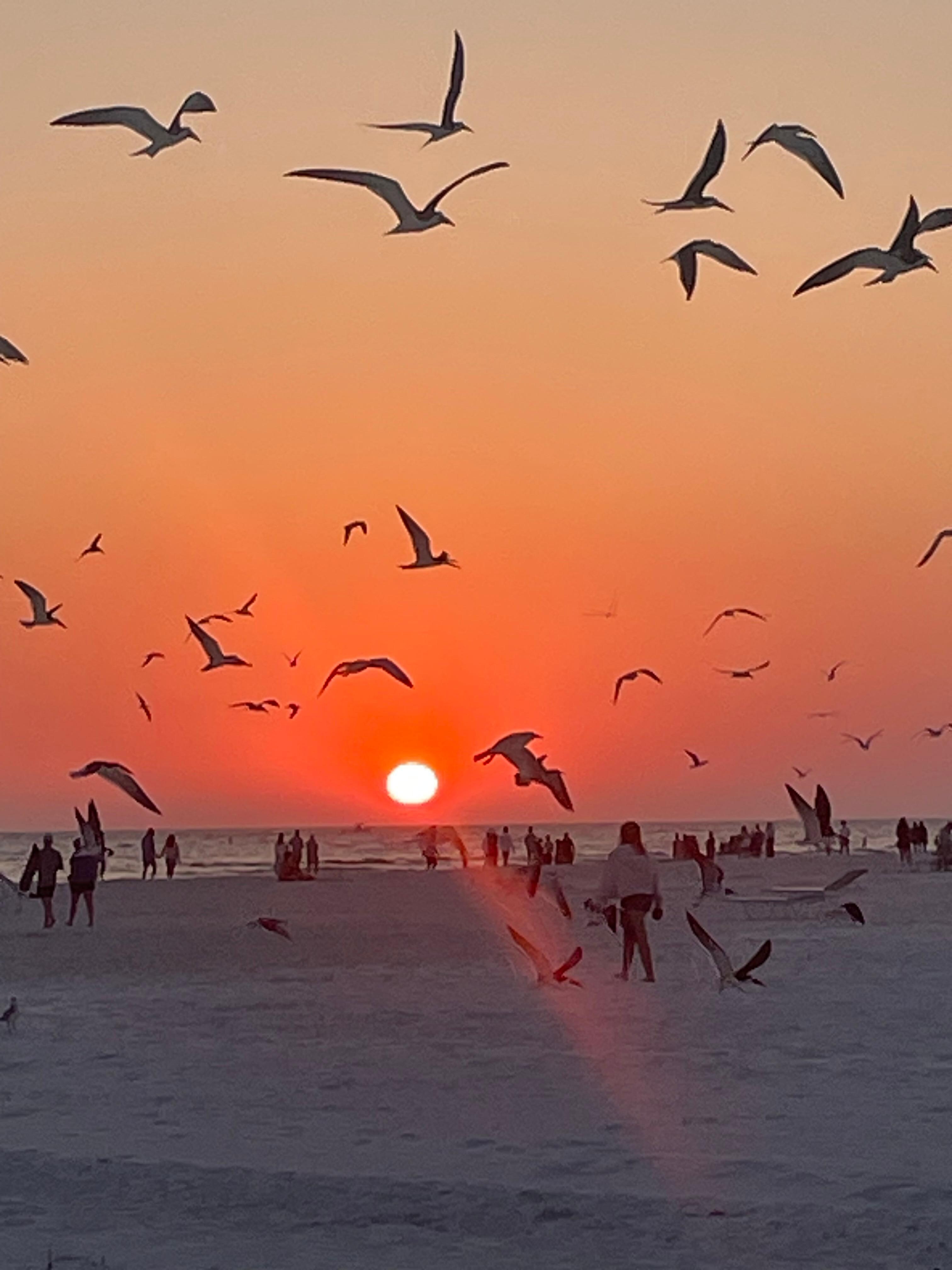 Sunsets are beautiful with steps from the villa. 