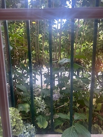 La otra ventana tapiada por verja y vegetación