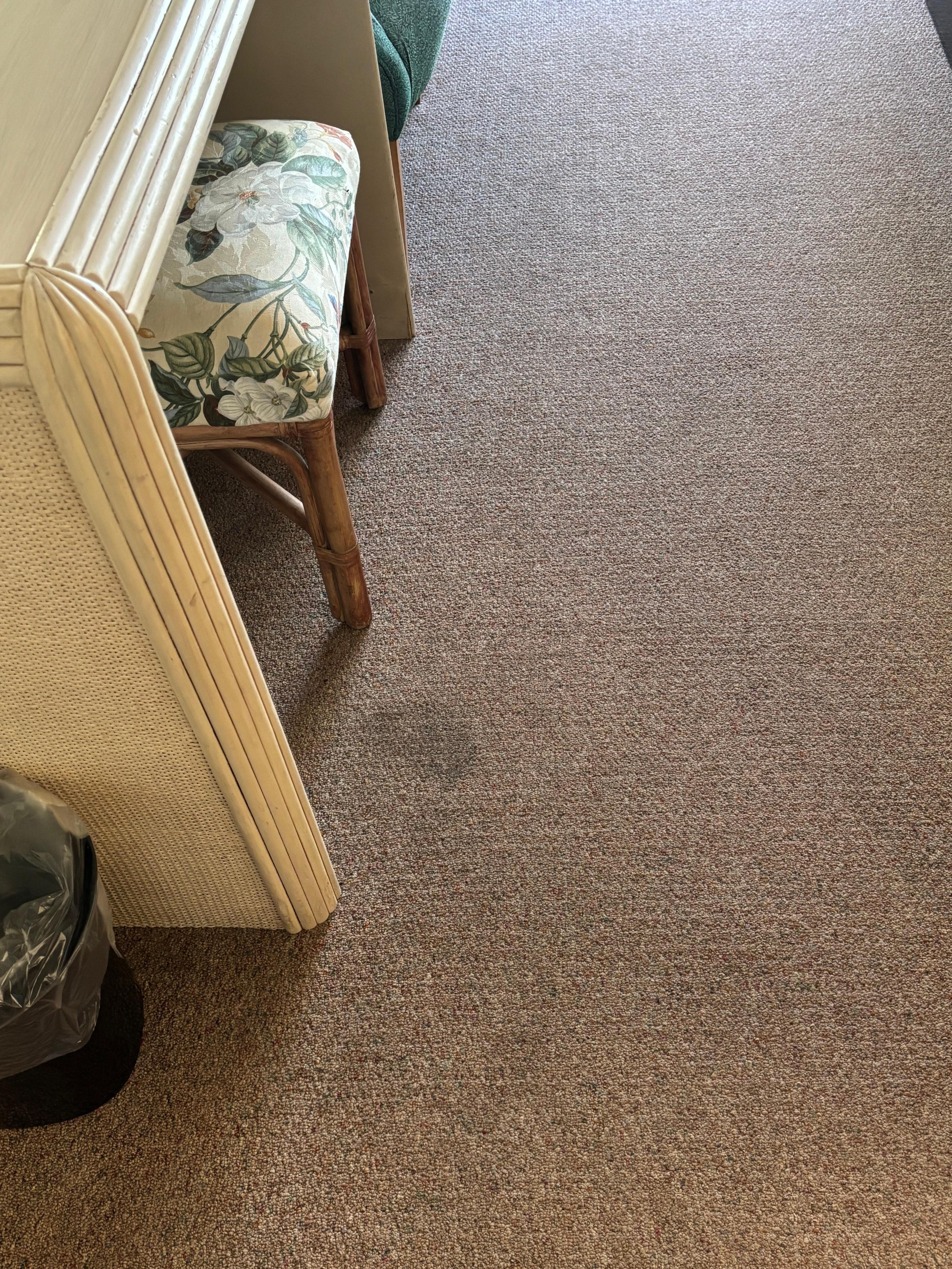 I can’t explain the smell 