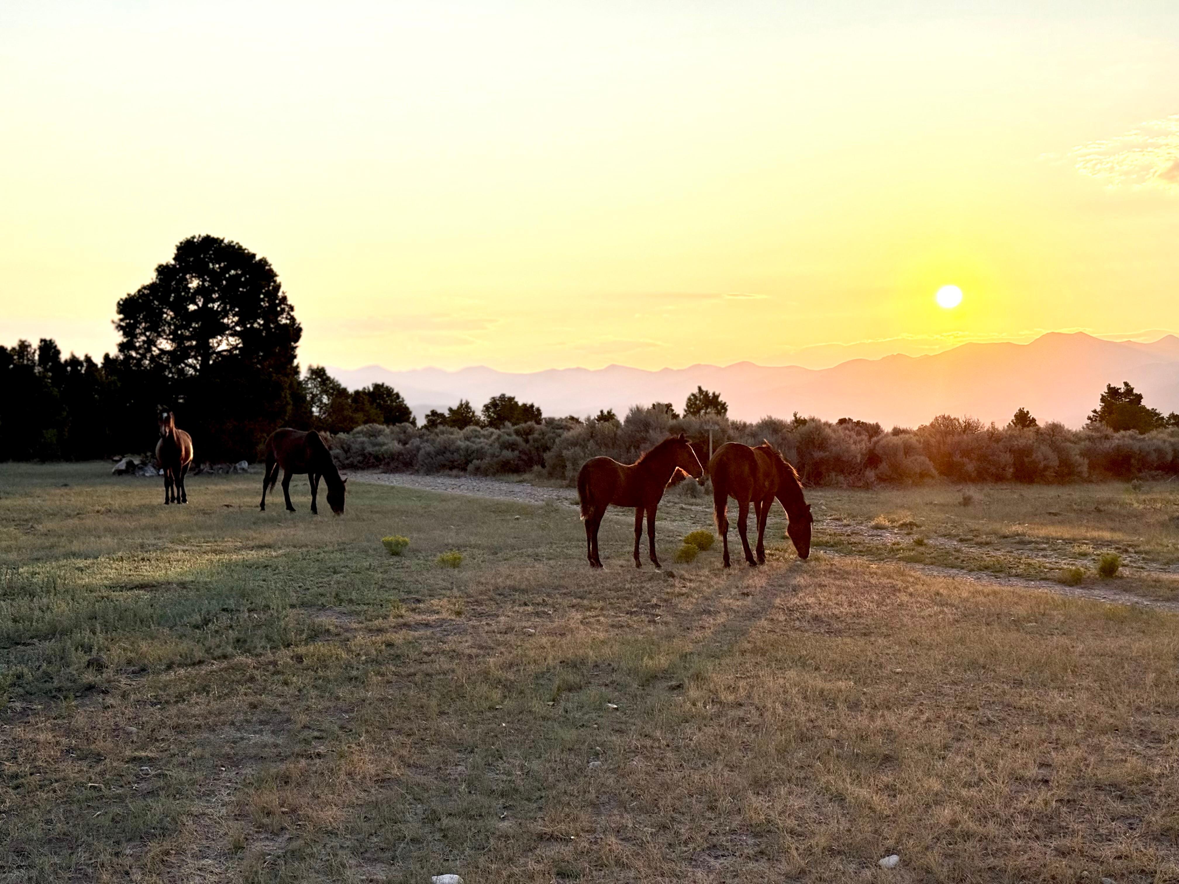 Not a bad way to enjoy your morning coffee!!