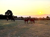 Not a bad way to enjoy your morning coffee!!